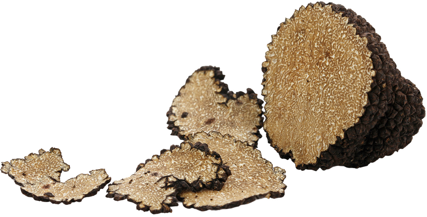 Christophe Corbas Truffe du Mont 4
